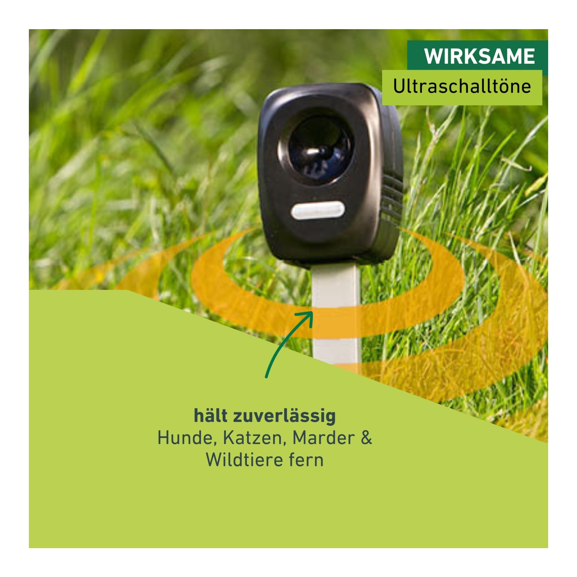 Windhager Hunde-/Katzen-/Marder-Schreck «Ultrasonic»
