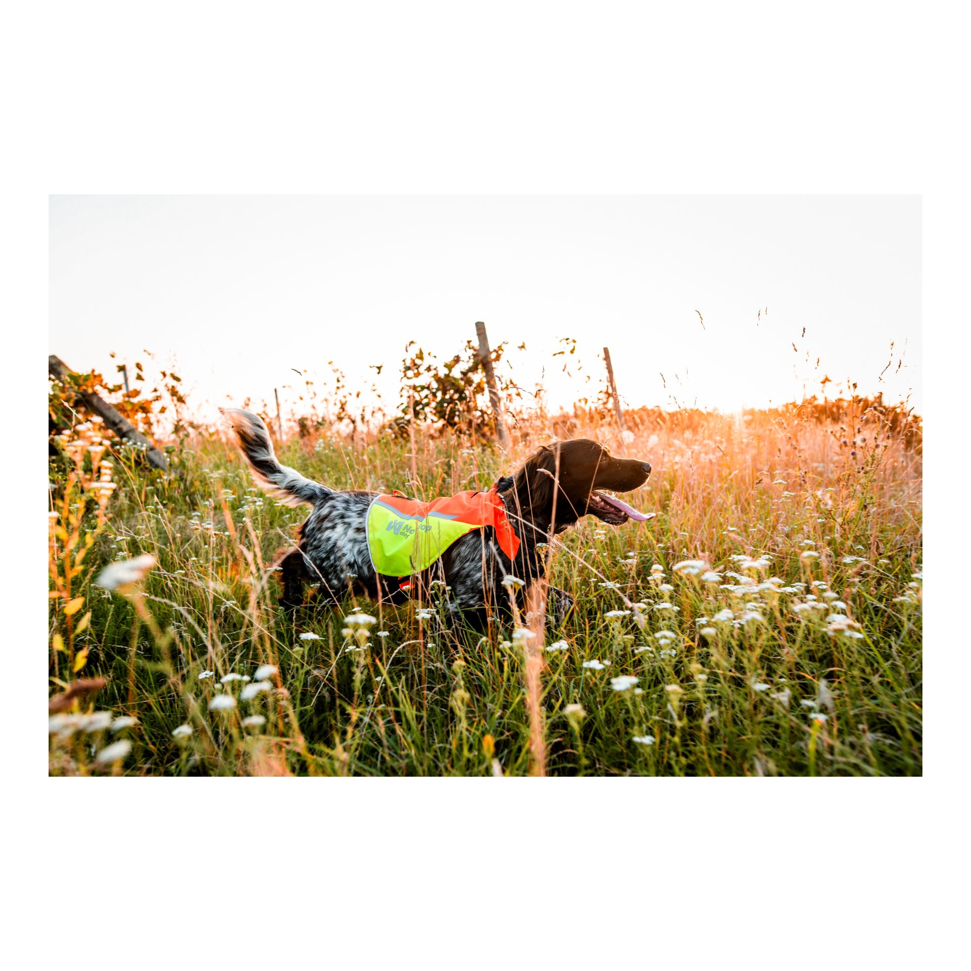 Non-stop Dogwear Gilet de protection 2.0