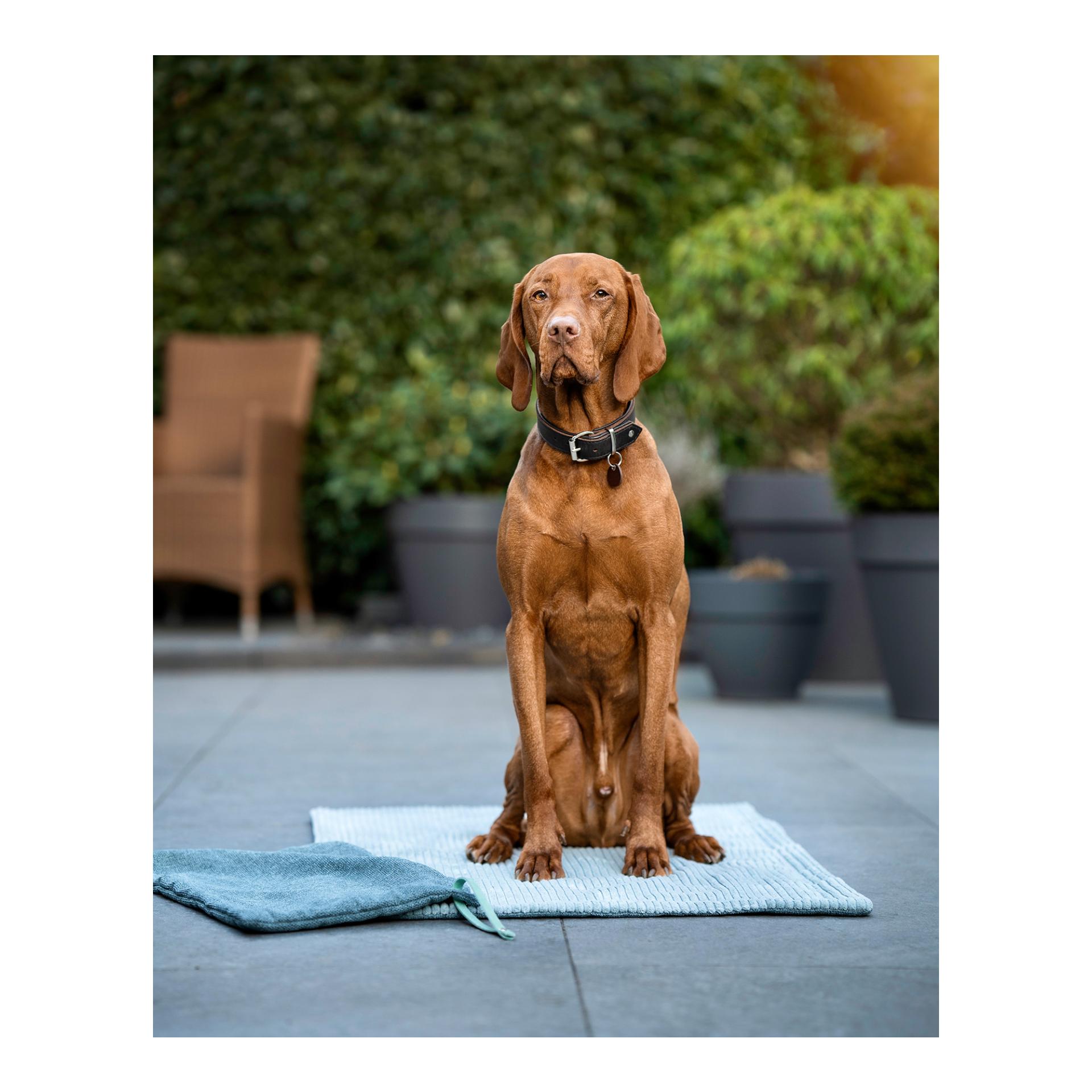 Dogspring by MAUL Couverture pour chien Cord
