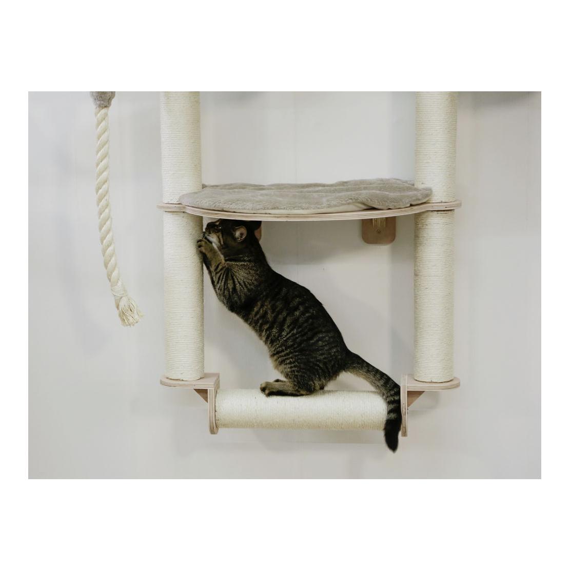 Kerbl Pet Arbre à chat mural Dolomit Grappa Pro - taupe