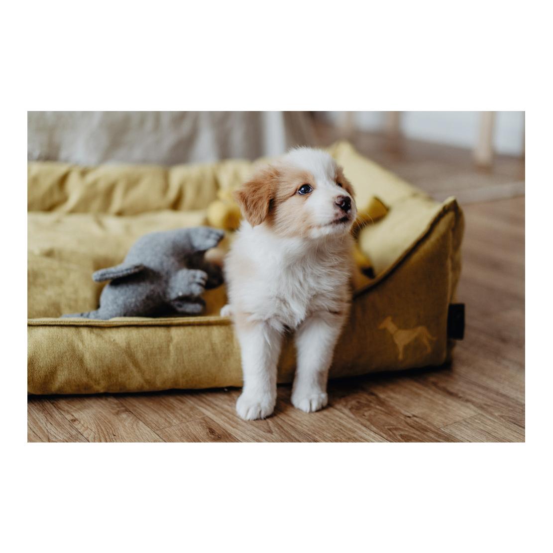 Hunter Jouet pour chien Eiby éléphant - gris