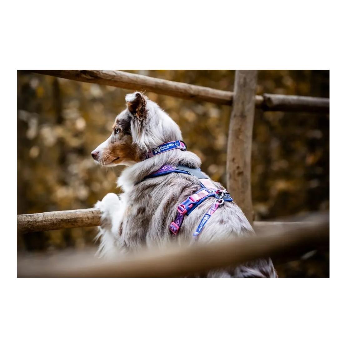 Non-stop Dogwear Collier pour chien Trail Quest Collar Rachel Pohl Edition