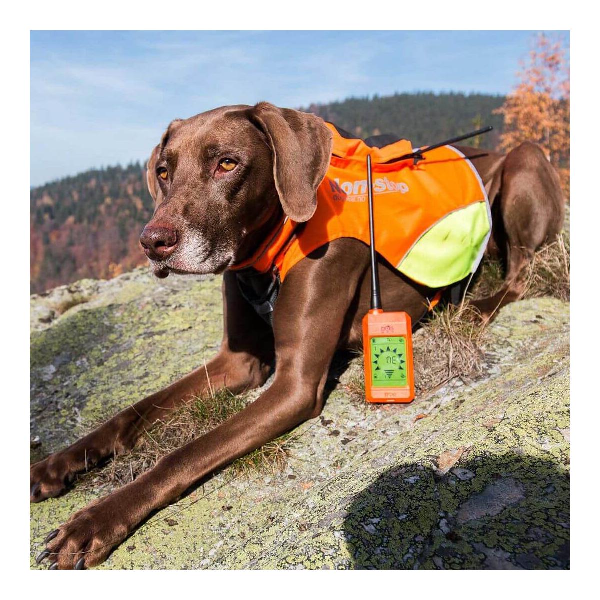 Dogtrace GPS X20 Hundeortungsgerät