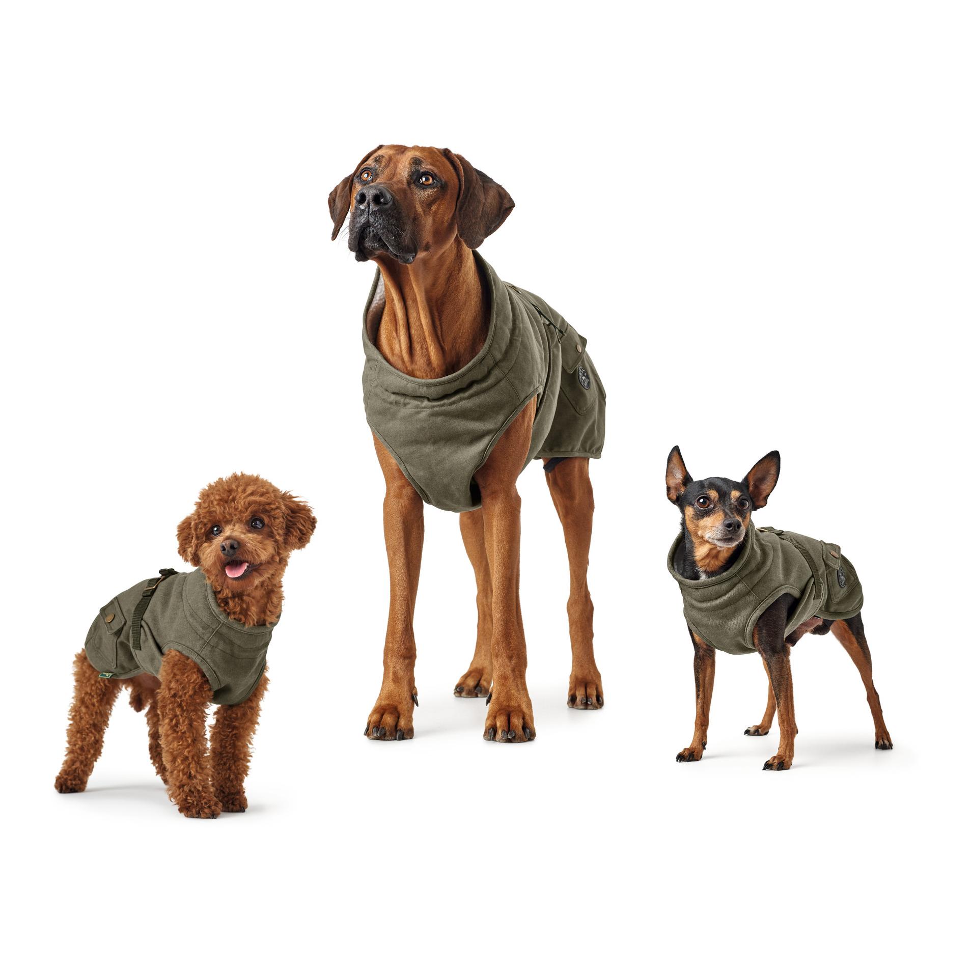 Hunter Manteau pour chien Uppsala Trend - kaki