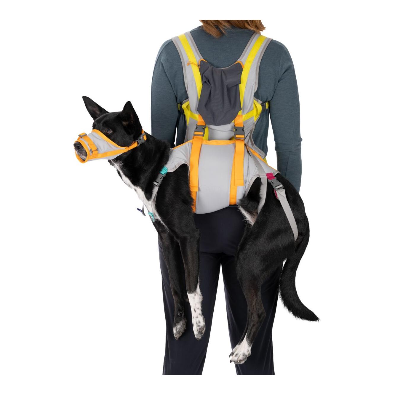 Ruffwear Kit d'urgence canine BackTrak Dog Evacuation Kit