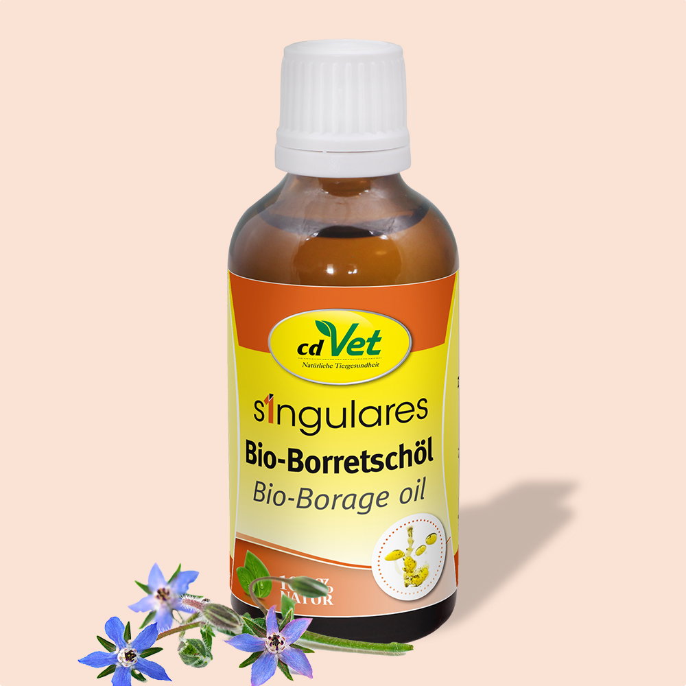 cdVet Huile de bourrache biologique unique