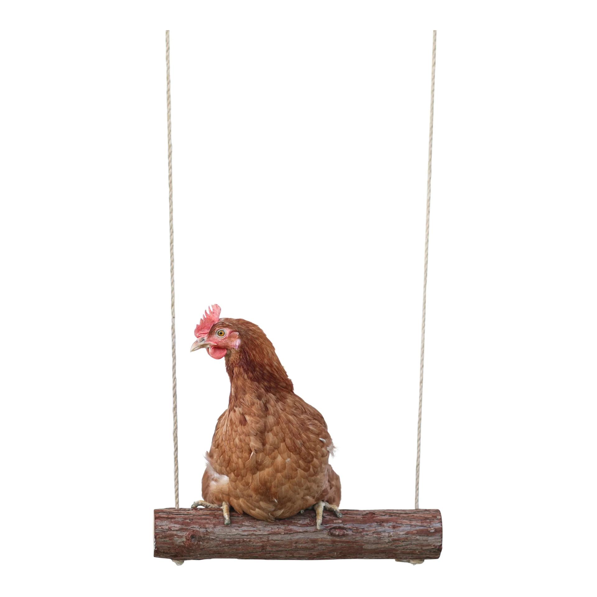 Kerbl Hobbyfarming Balançoire à poules