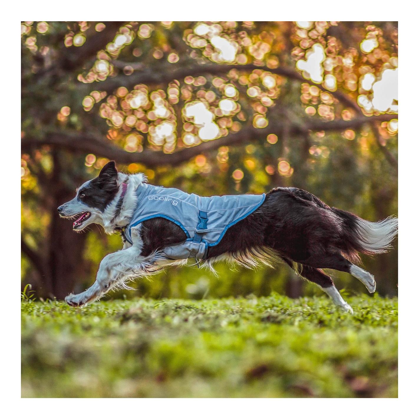 Kurgo Gilet réfrigérant pour chiens