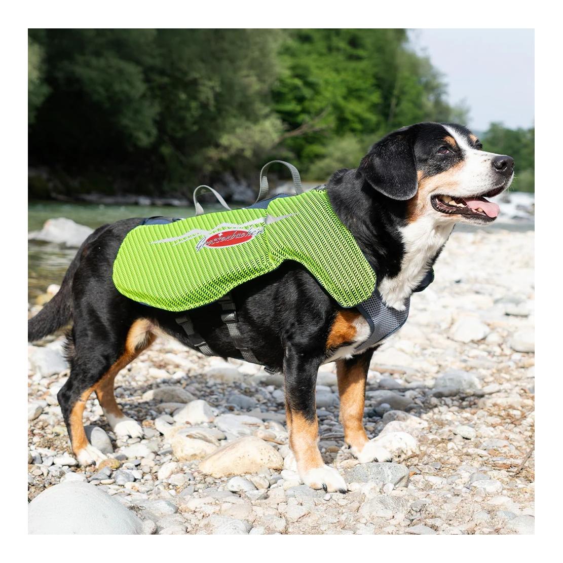 Beat Grossenbacher Schwimmweste für Hunde