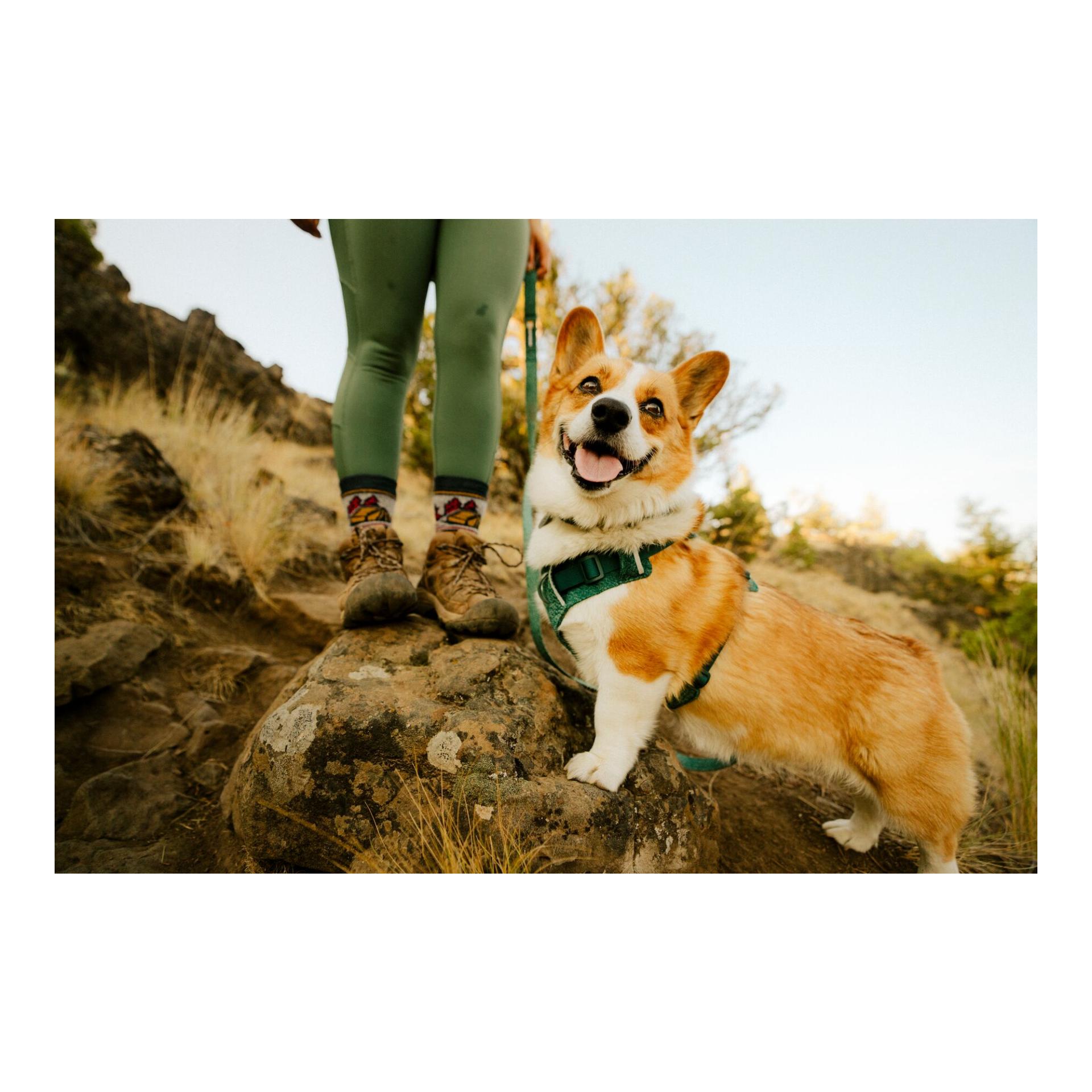 Ruffwear Front Range® Flex Harnais pour chien