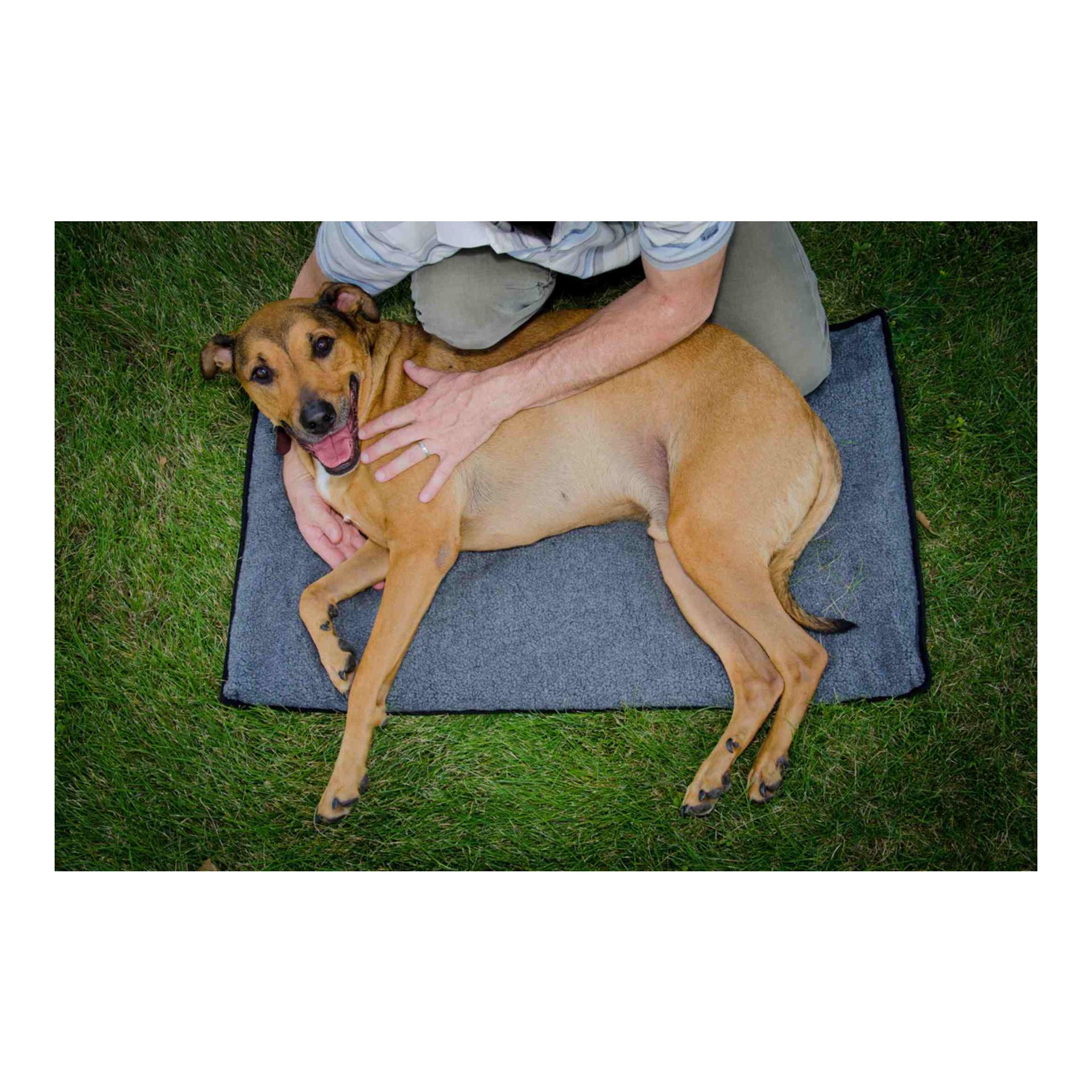 FitPaws K9FITbed