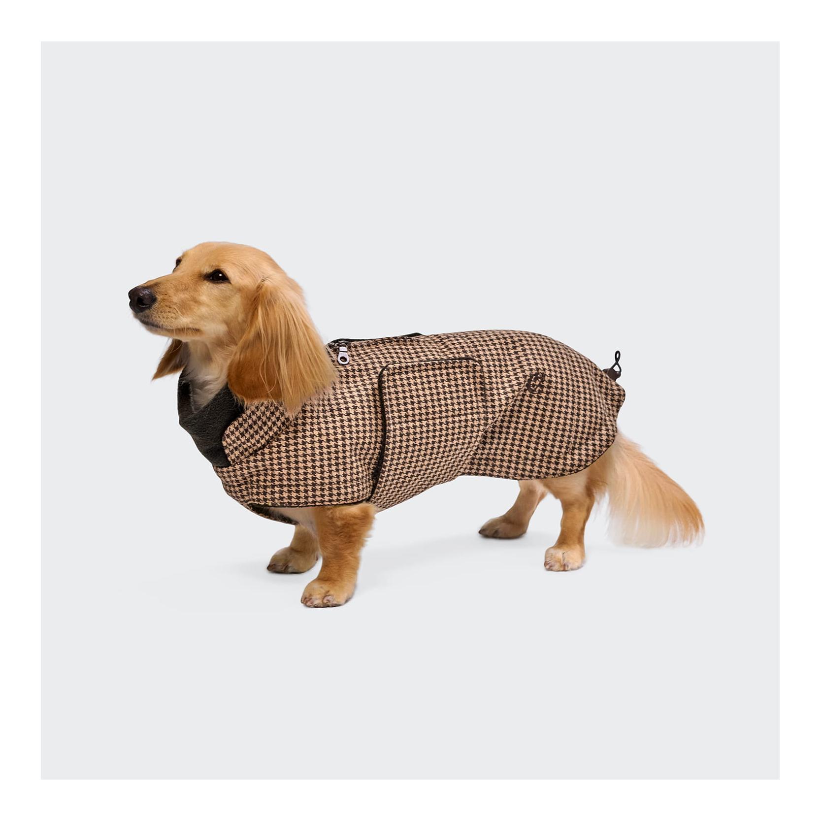 Cloud 7 Hundemantel Brooklyn Dackel