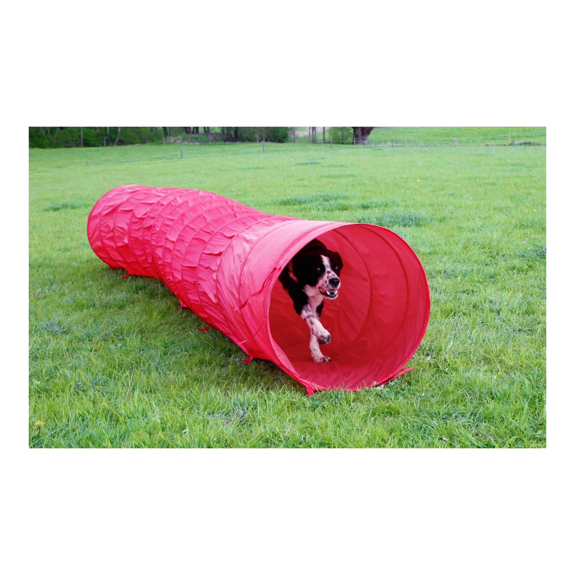 Kerbl Pet Tunnel pour chien Agility 5 m - rouge