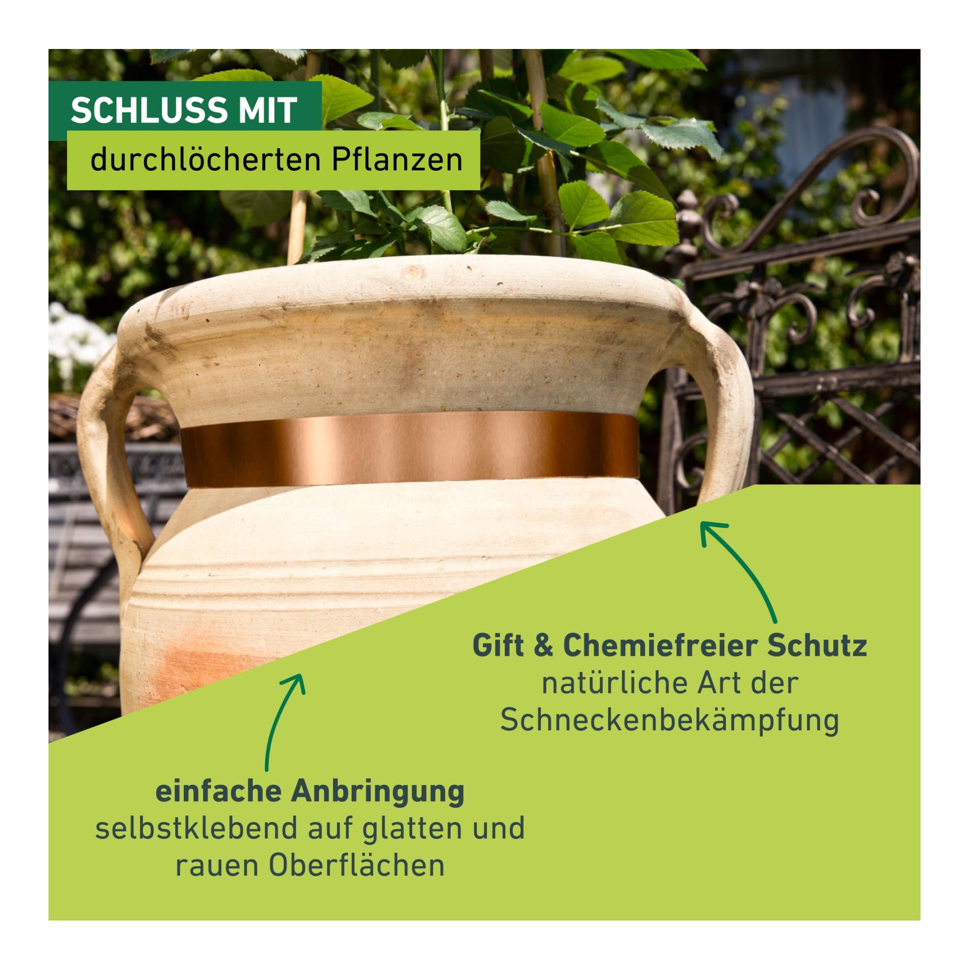 Windhager Bande anti-limaces