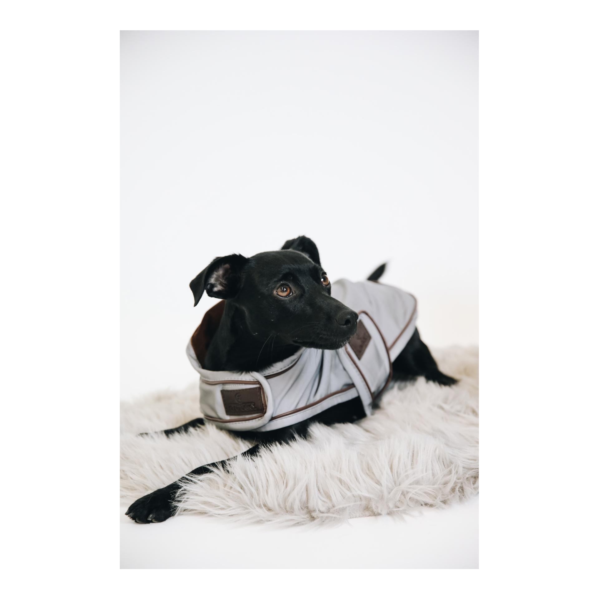 Kentucky Dogwear Manteau pour chien réfléchissant &amp; imperméable