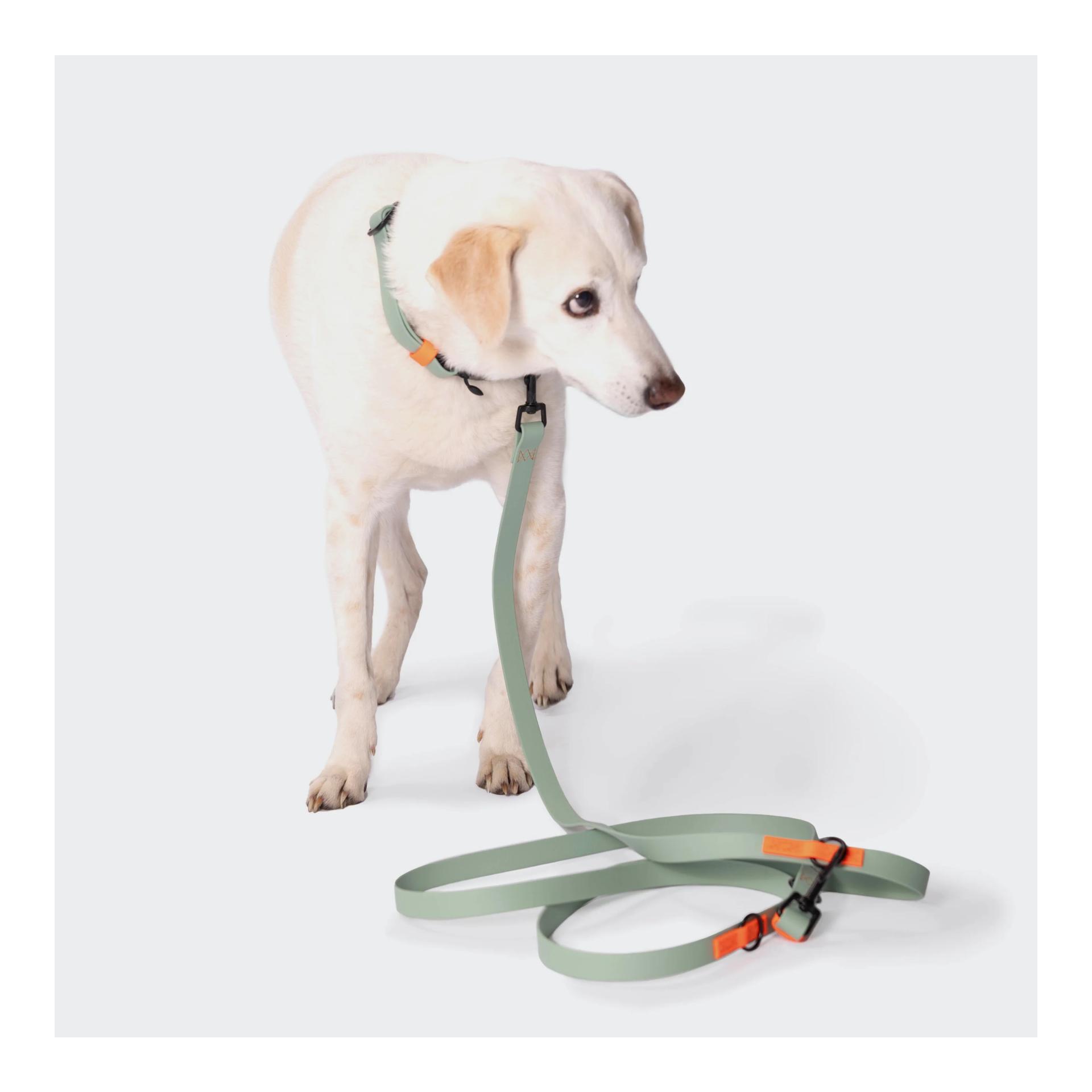 Cloud 7 Freihandleine BioThane Ipanema - mint