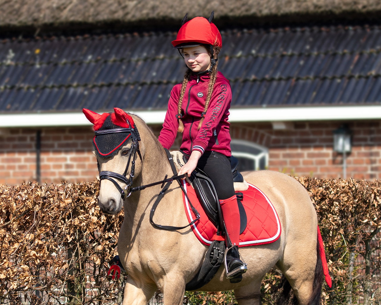 QHP Housse de casque Devil