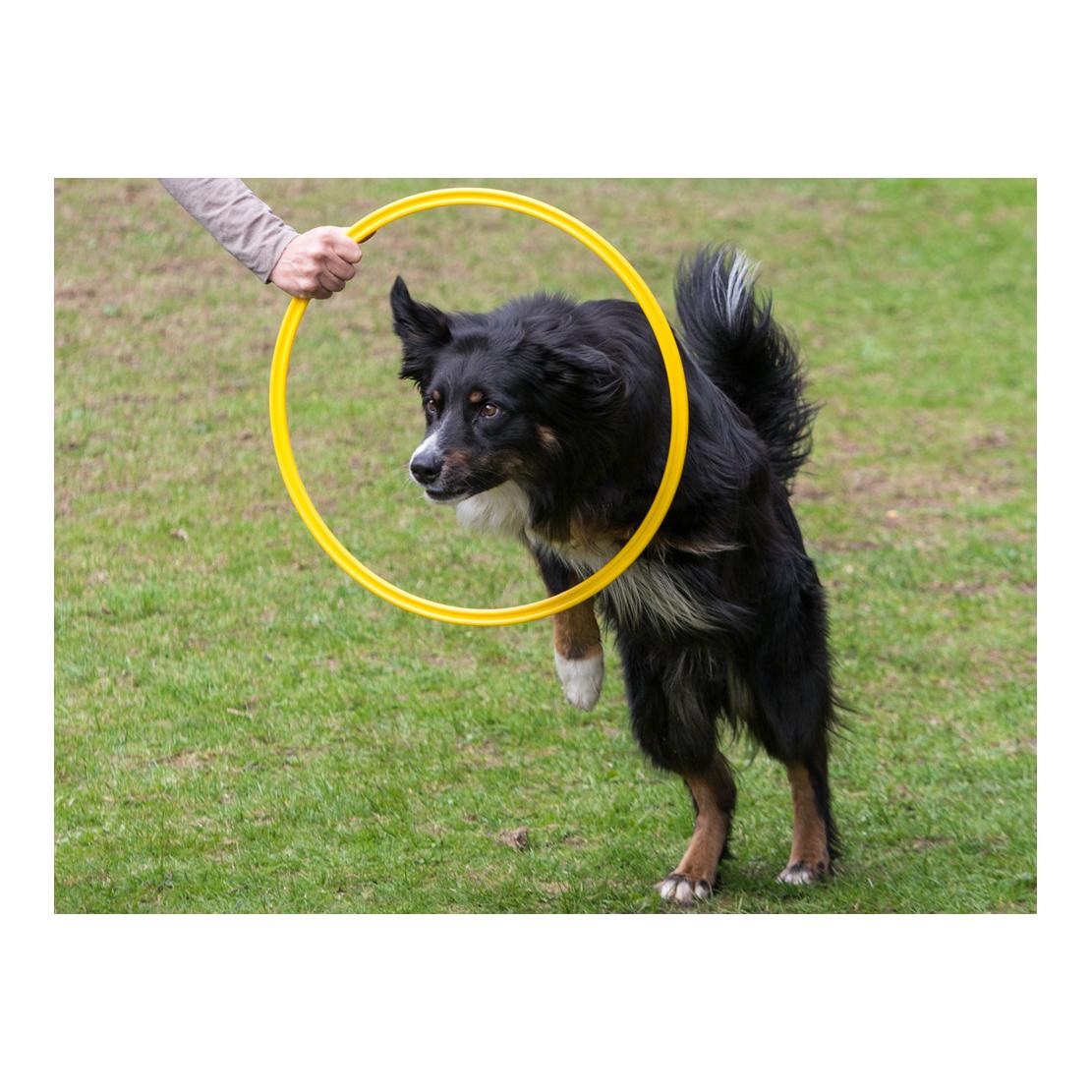 Agility Training Ring 60cm