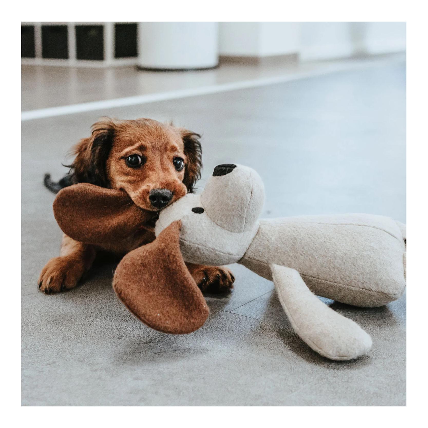 Hunter Hundespielzeug Marle Hund