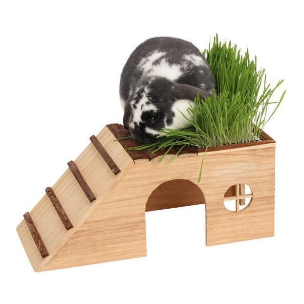 Kerbl Pet Nagerhaus mit Rampe Nature Holz