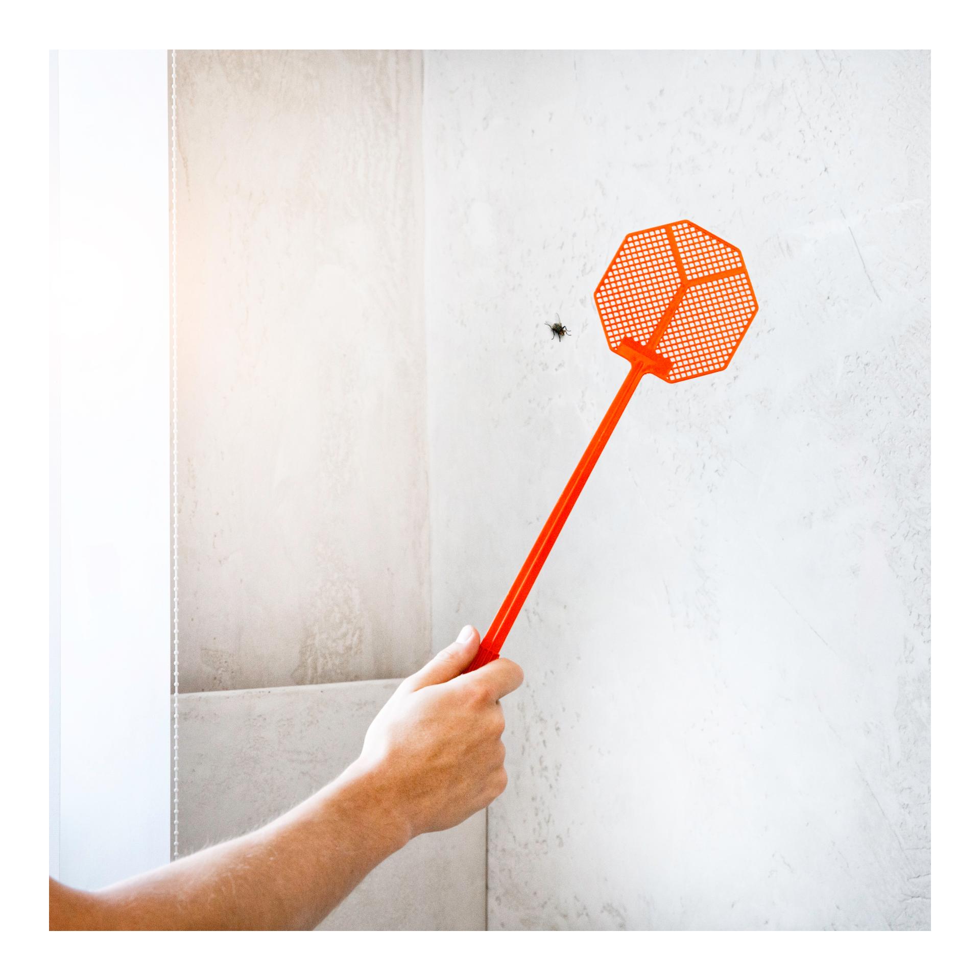 Windhager Fliegenklatsche - assortiert