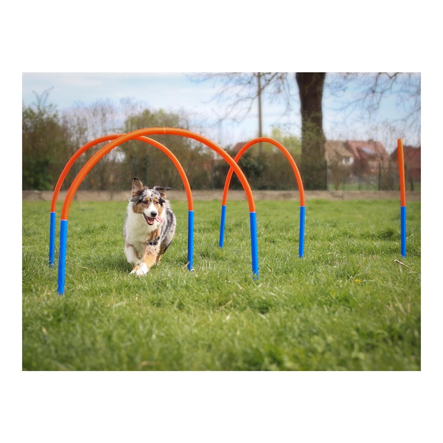 Agility Agility Hooper Bogen Set