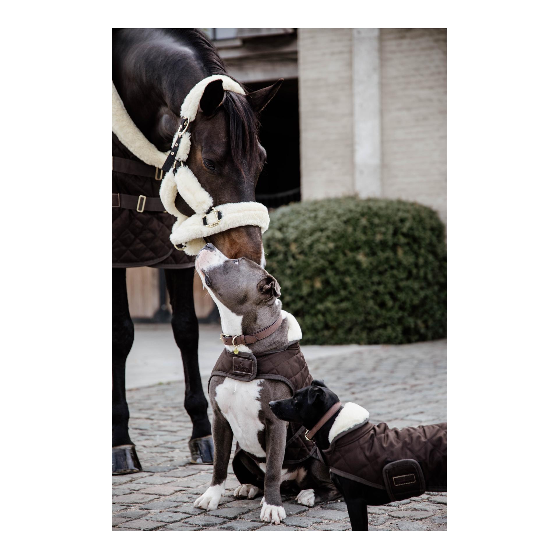 Kentucky Dogwear Hundemantel Original - brown