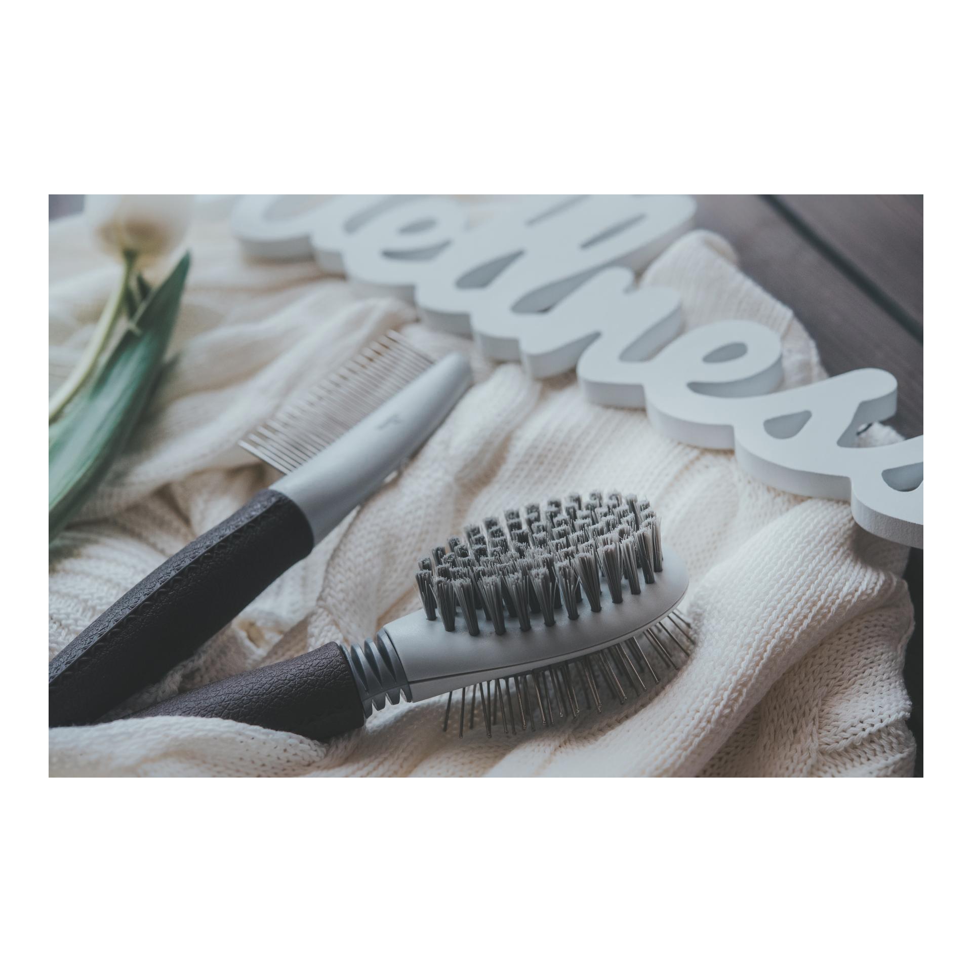 Hunter Brosse combinée Spa