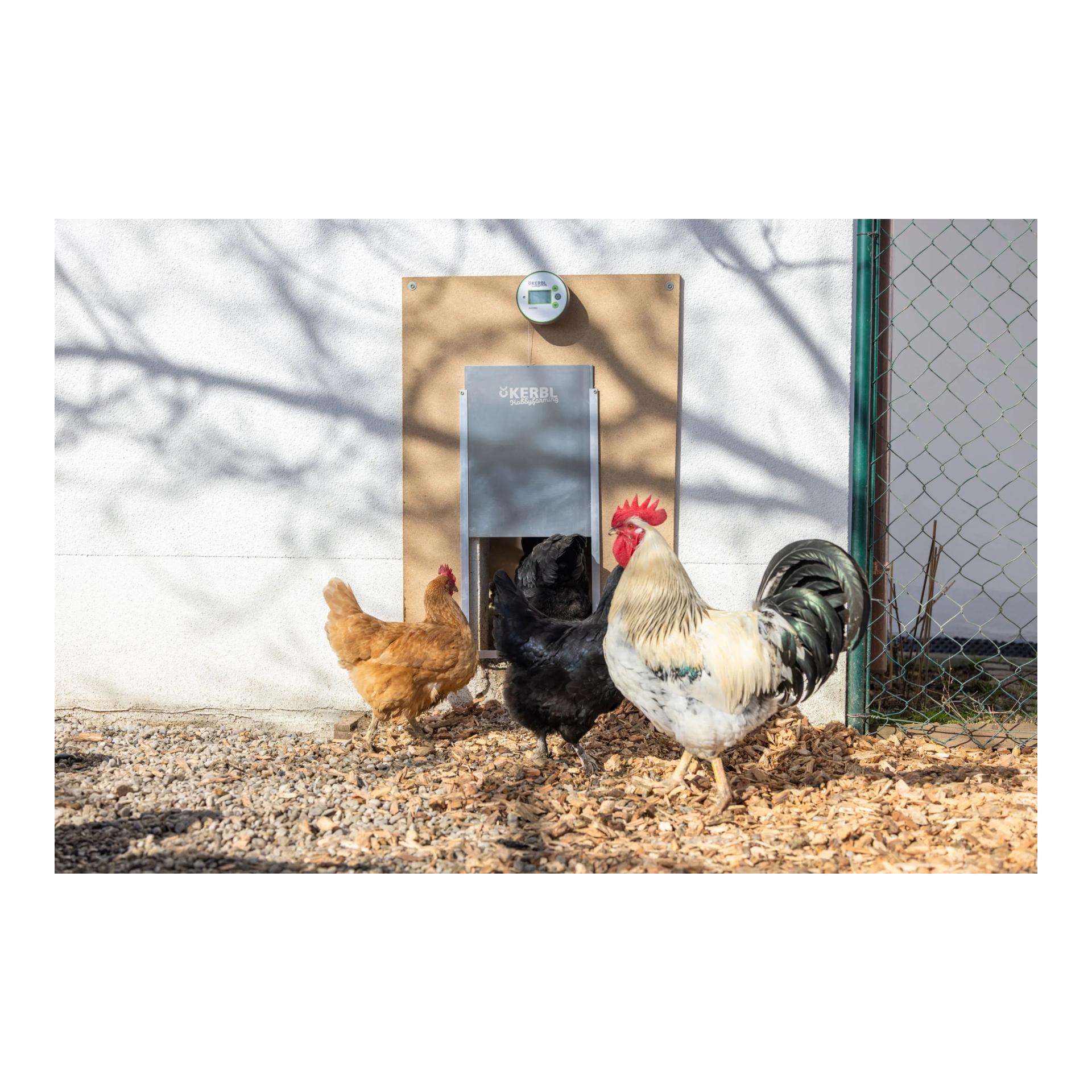 Kerbl Hobbyfarming Porte automatique pour poules Duo Pro - Commande