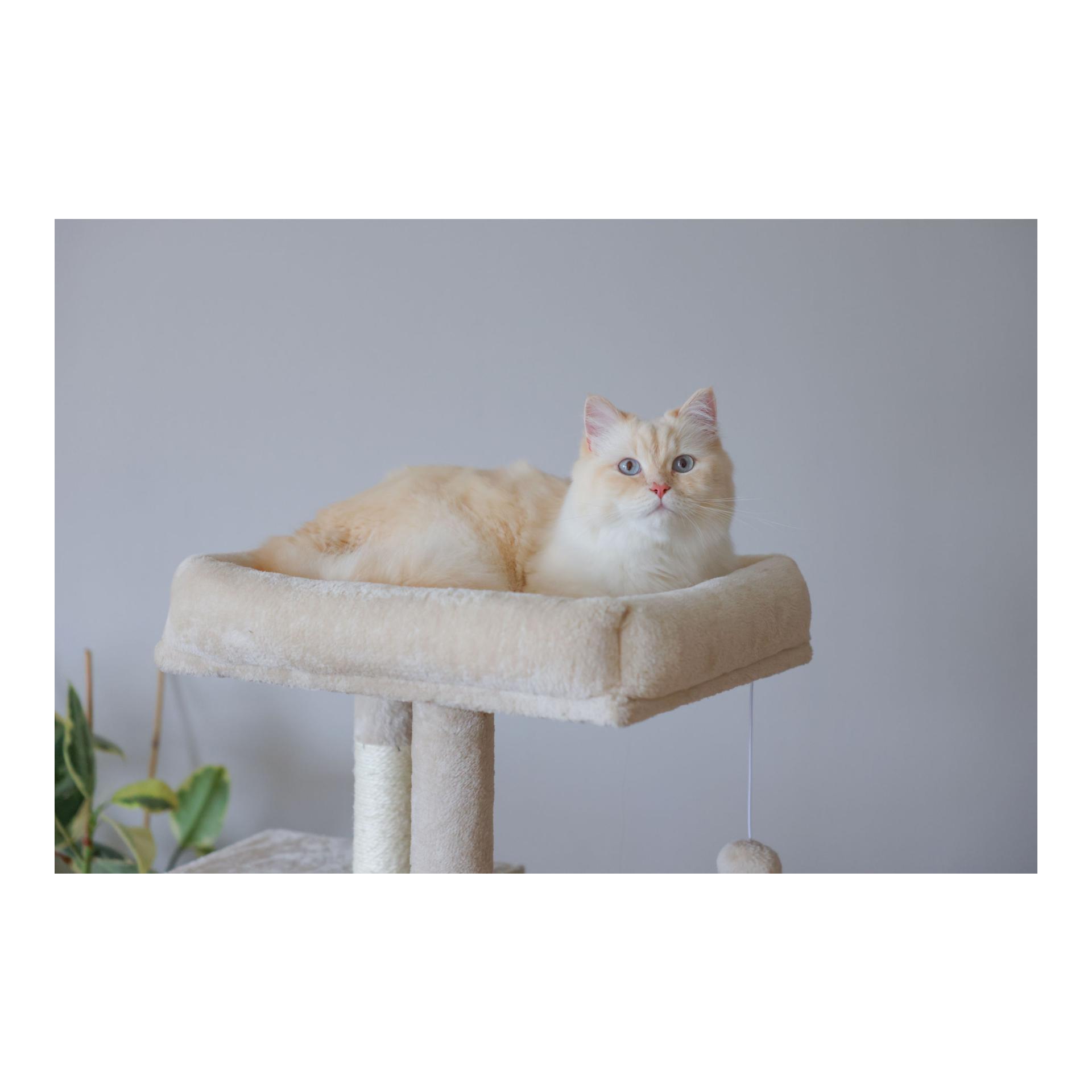 Kerbl Pet Kratzbaum Alessia