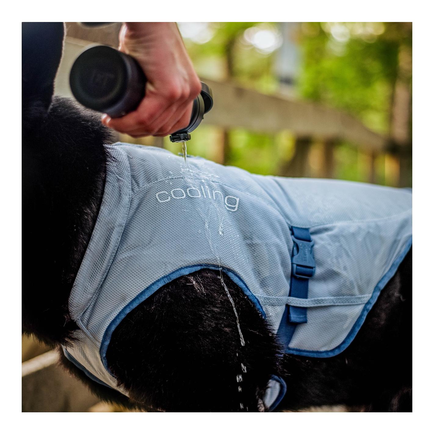 Kurgo Gilet réfrigérant pour chiens