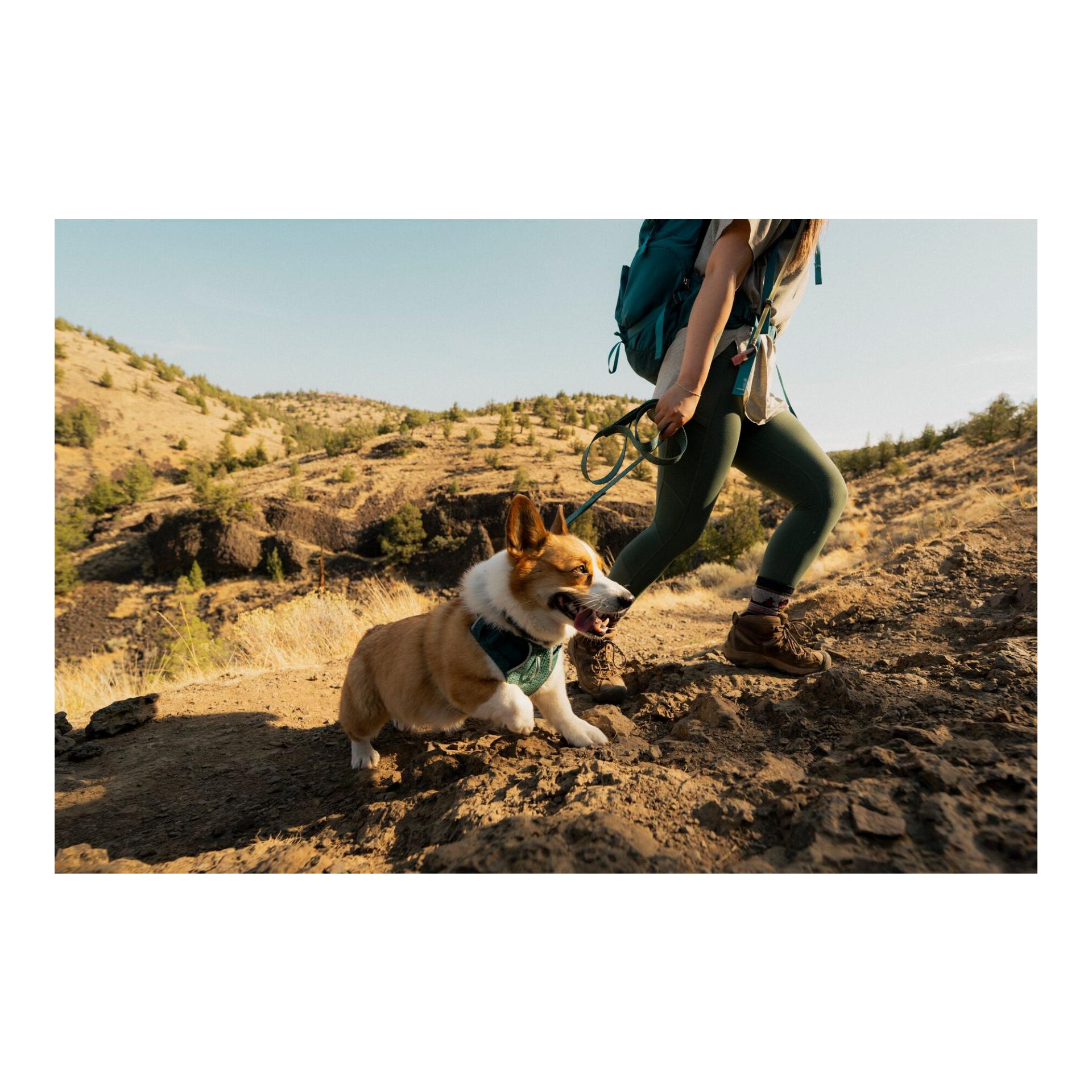 Ruffwear Collier pour chien Front Range™ Flex
