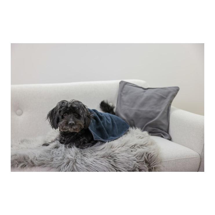 Kerbl Pet Serviette pour chiens
