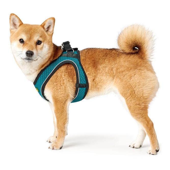 Hunter Harnais pour chien Hilo Comfort - turquoise