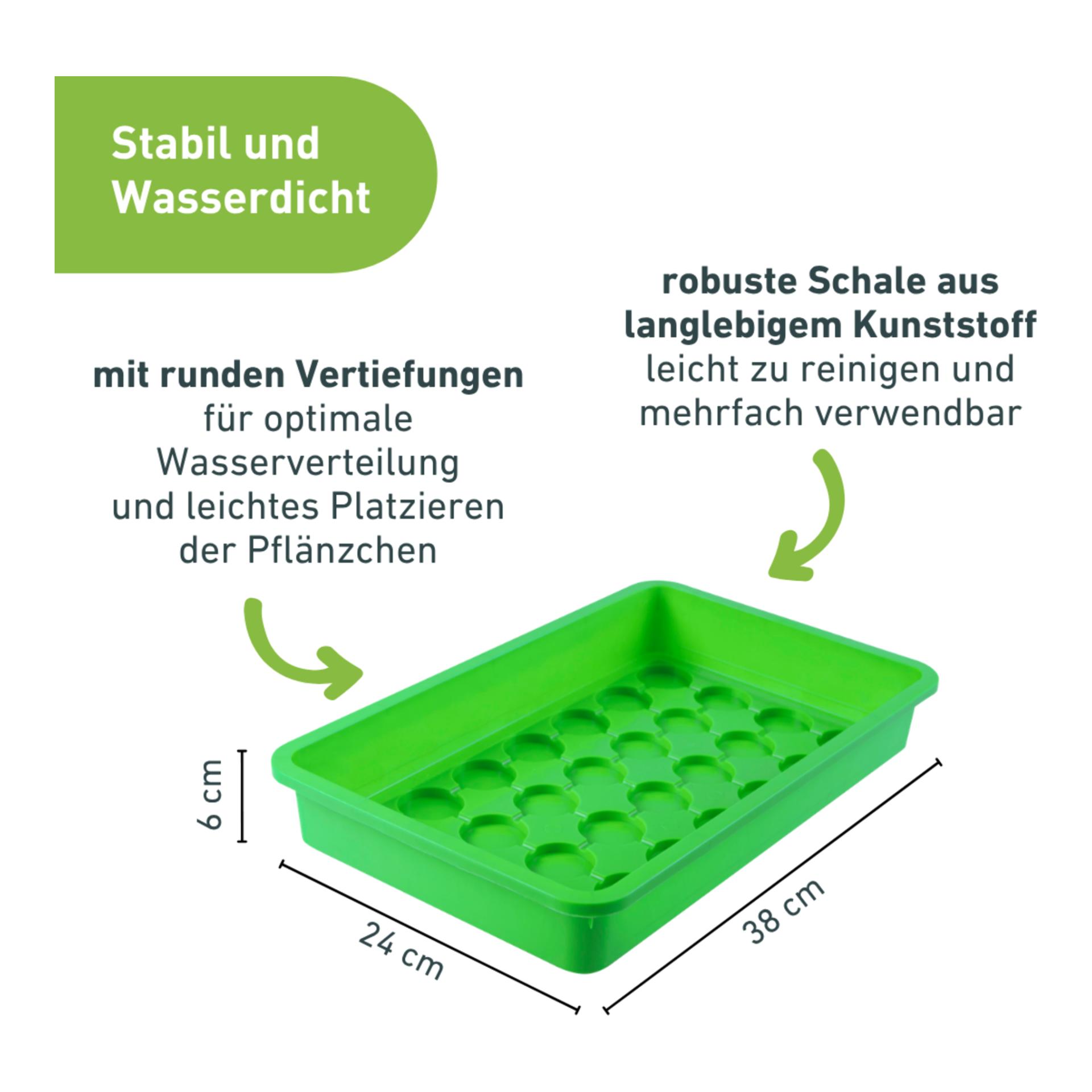 Windhager Aussaat - Schale - grün