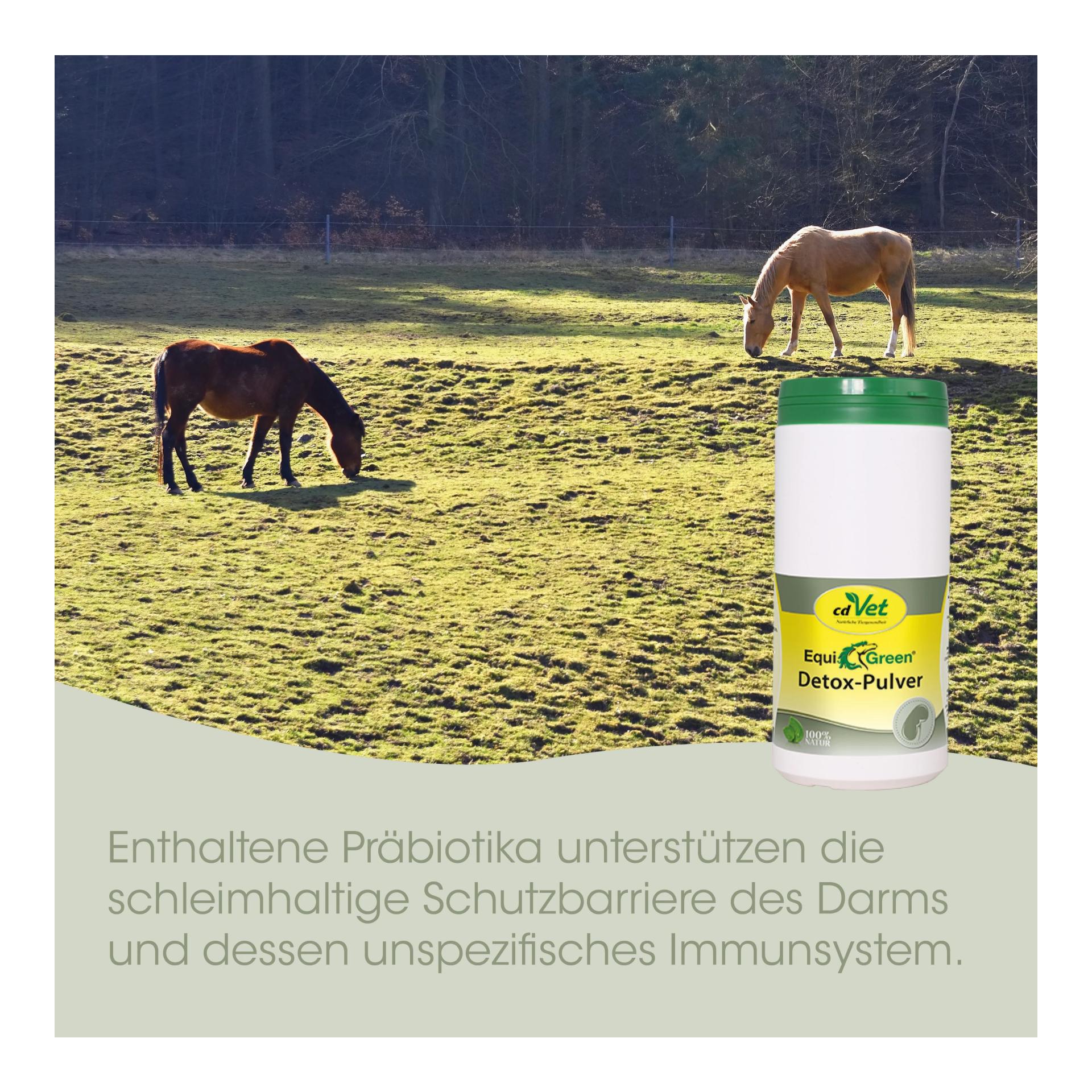 cdVet Poudre détox EquiGreen