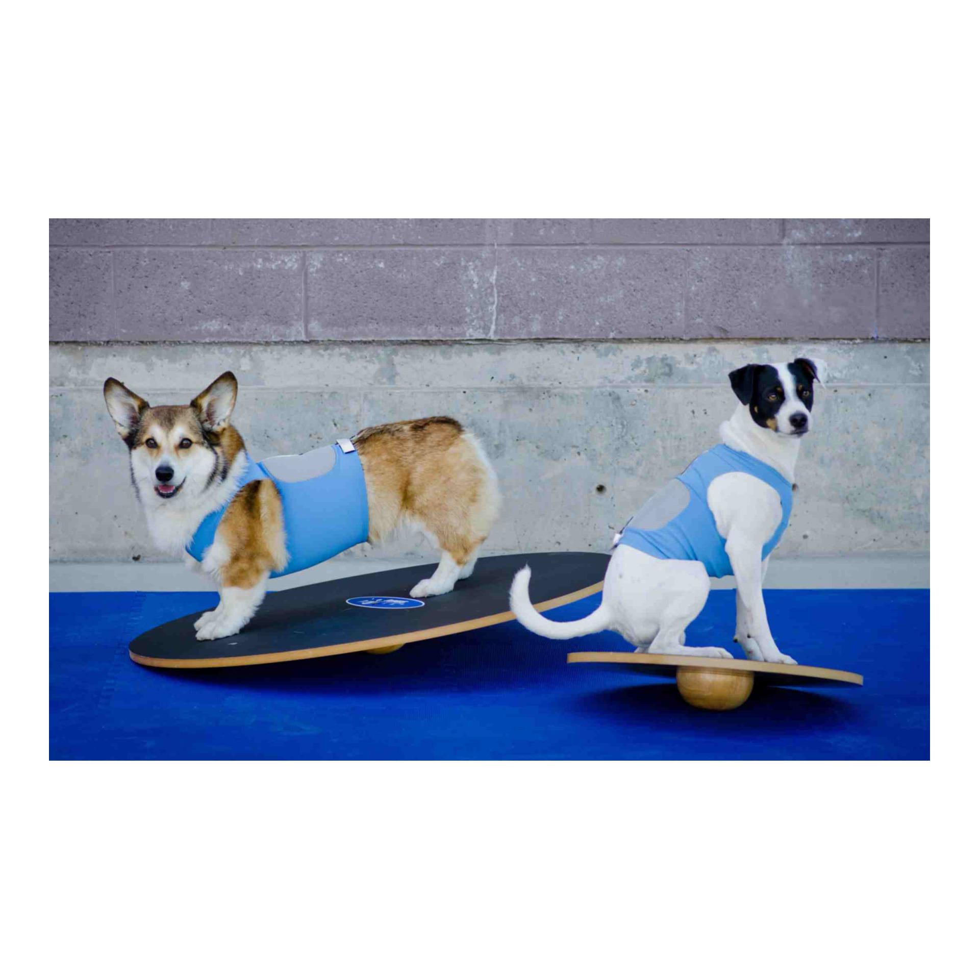 FitPaws Wobble Board, rund