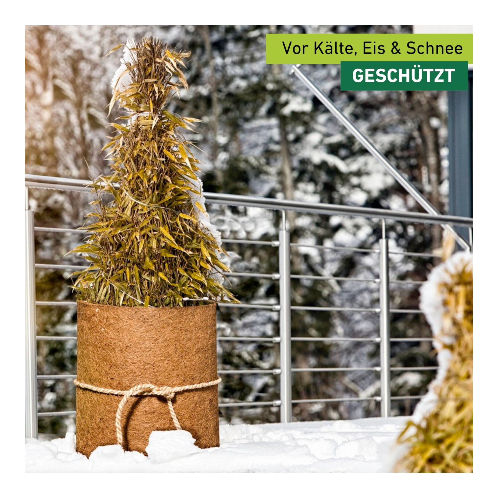 Windhager Kokos-Filzmatte Greenline