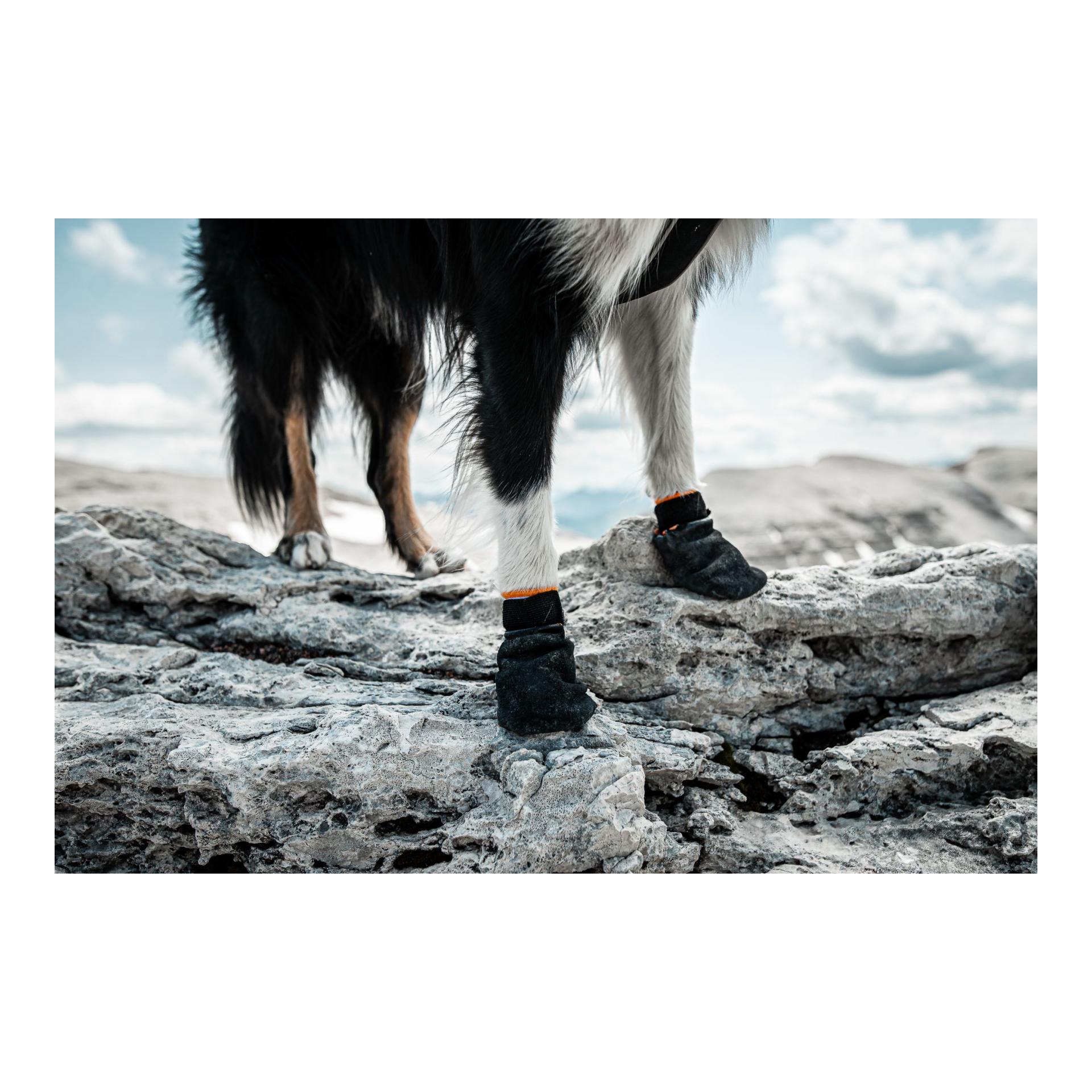 Non-stop Dogwear Protector Booties