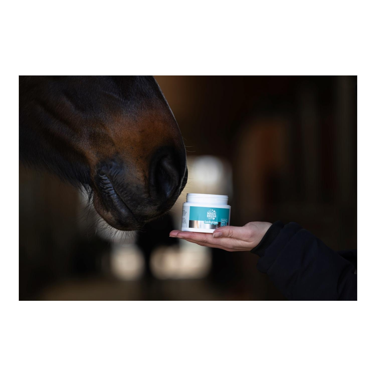 MagicBrush Baume à lèvres MagicBrush pour chevaux Lucky Lips