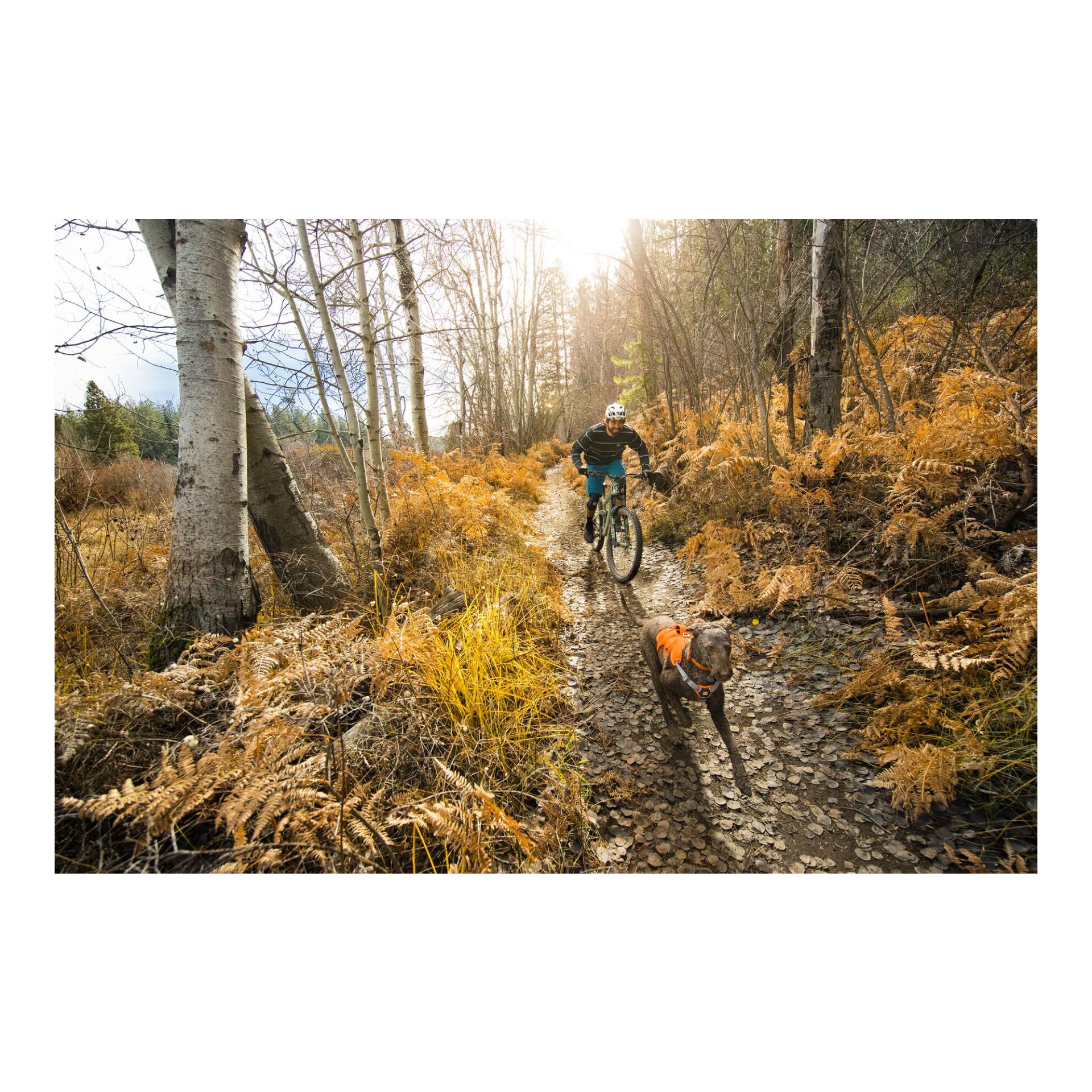 Ruffwear Web Master™ Geschirr