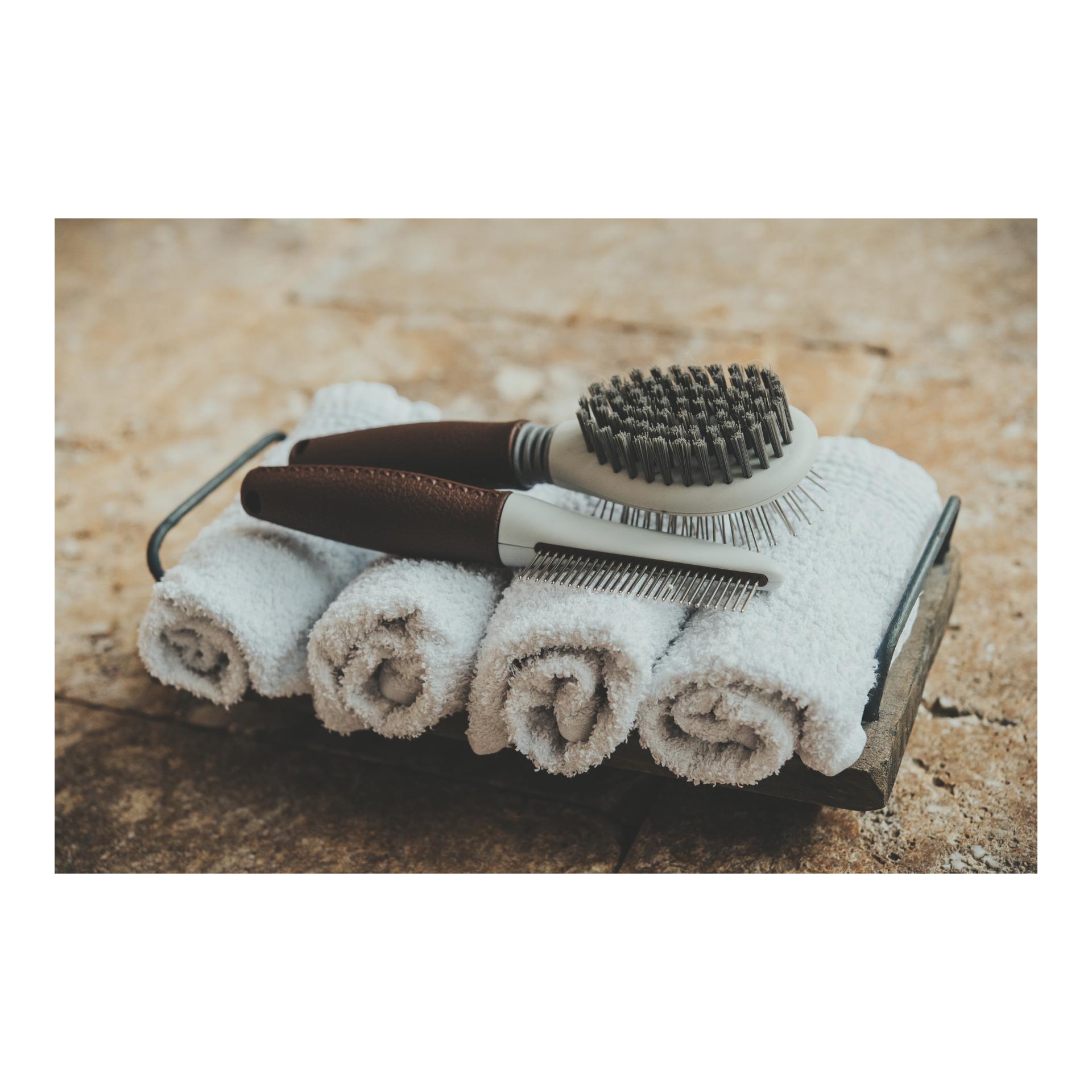 Hunter Brosse combinée Spa