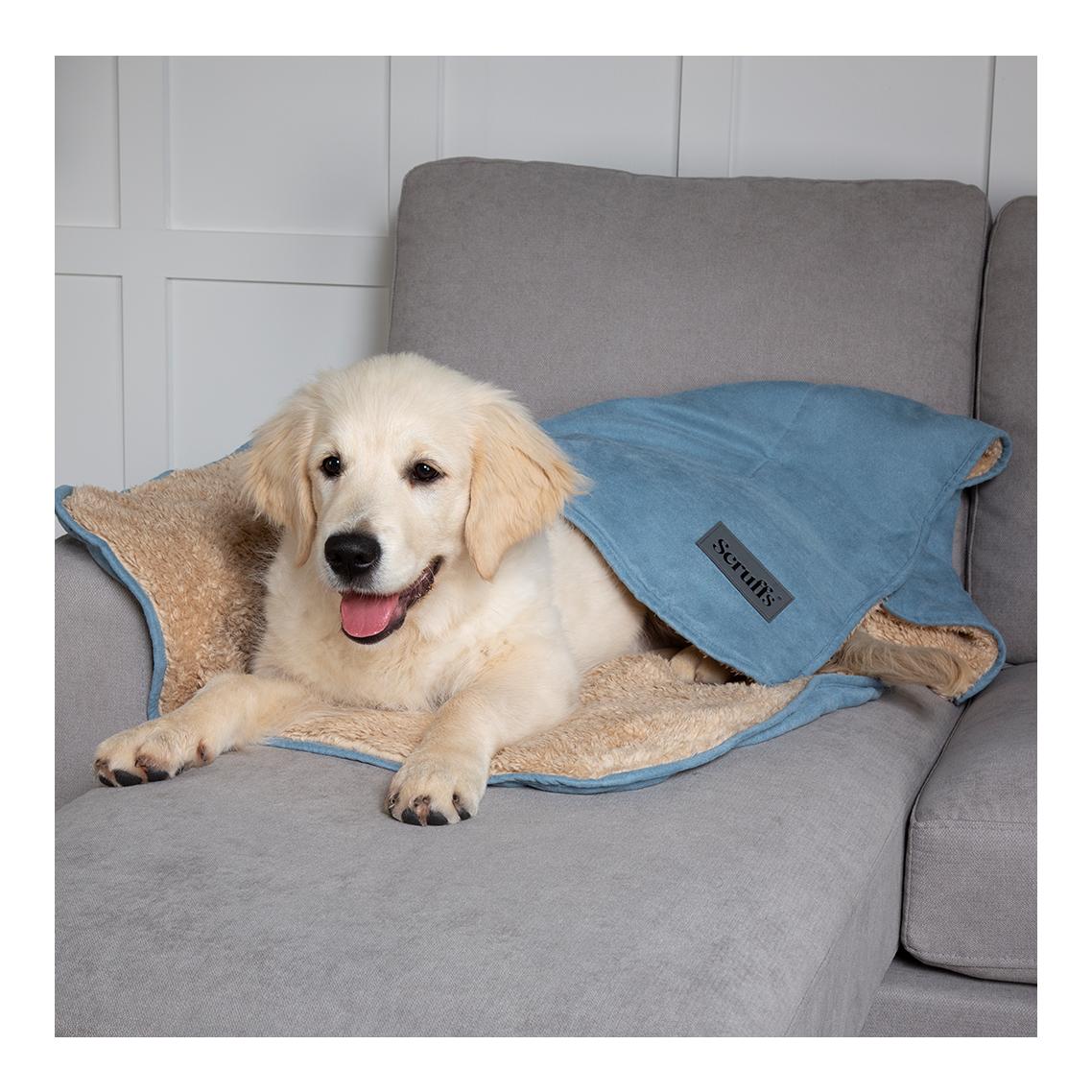 Scruffs Couverture douillette pour chiens