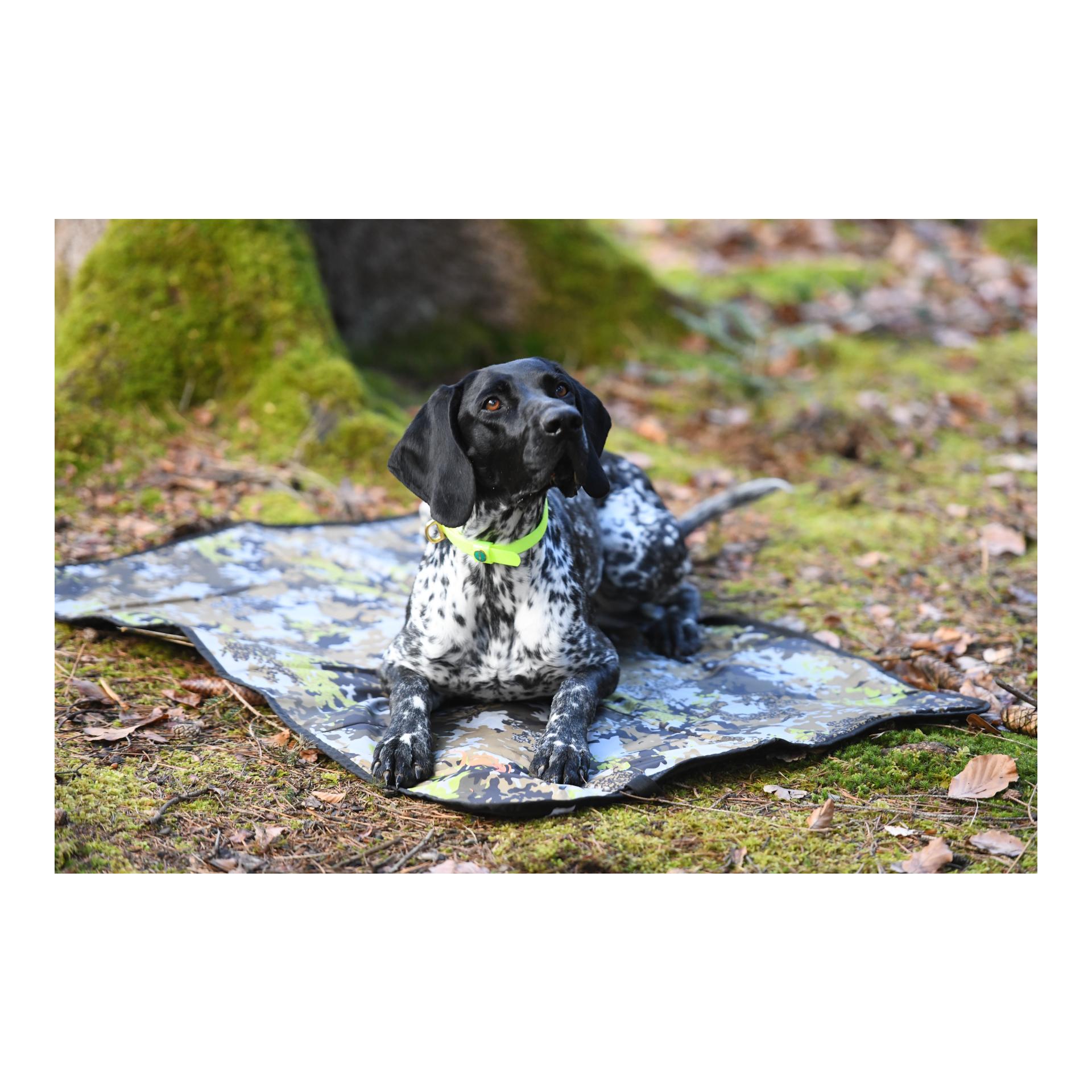 Blaser Hundedecke HunTec Camo