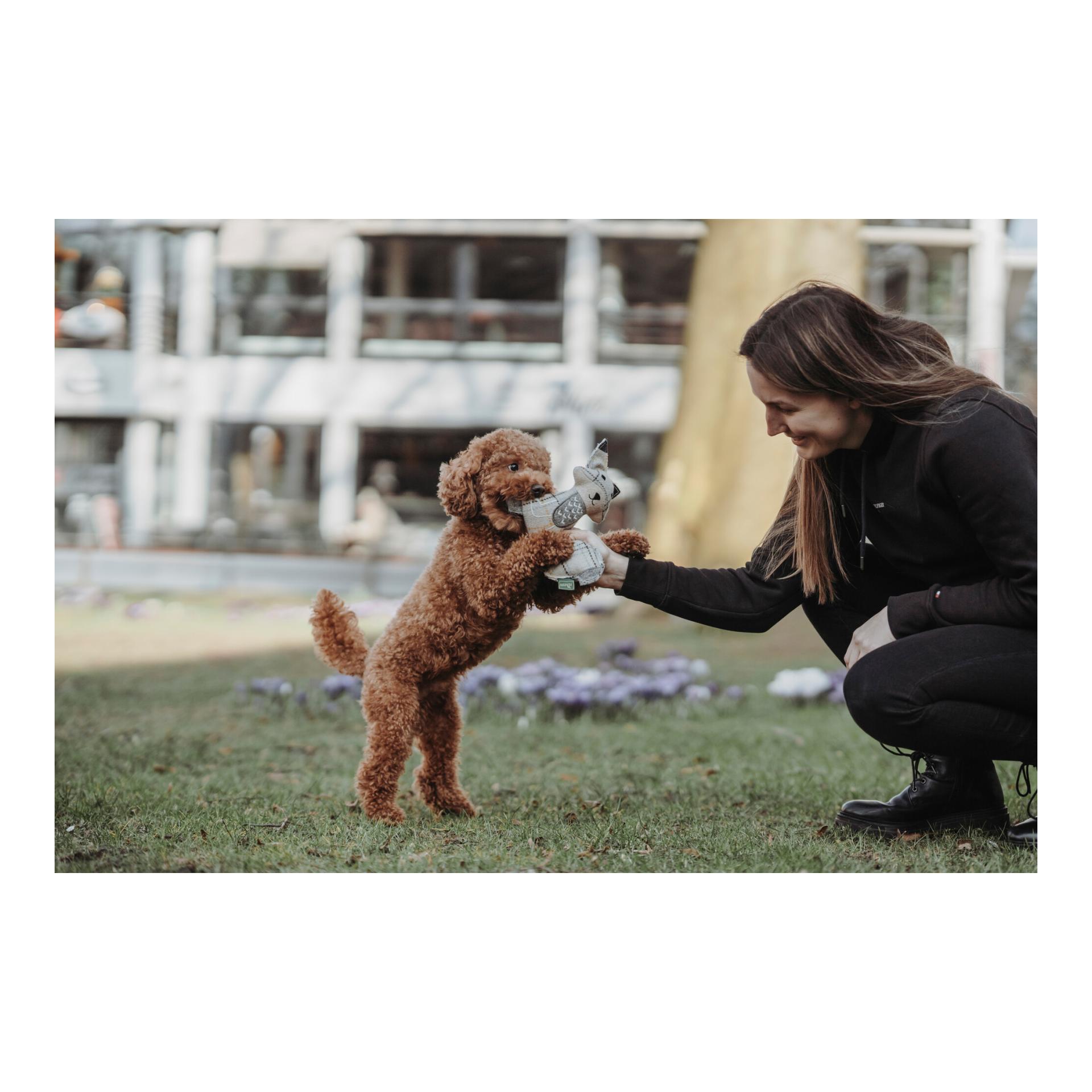 Hunter Jouet pour chiens Billund Renard