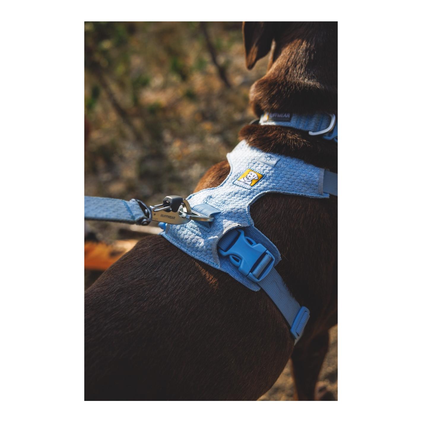 Ruffwear Front Range™ Flex Laisse pour chien