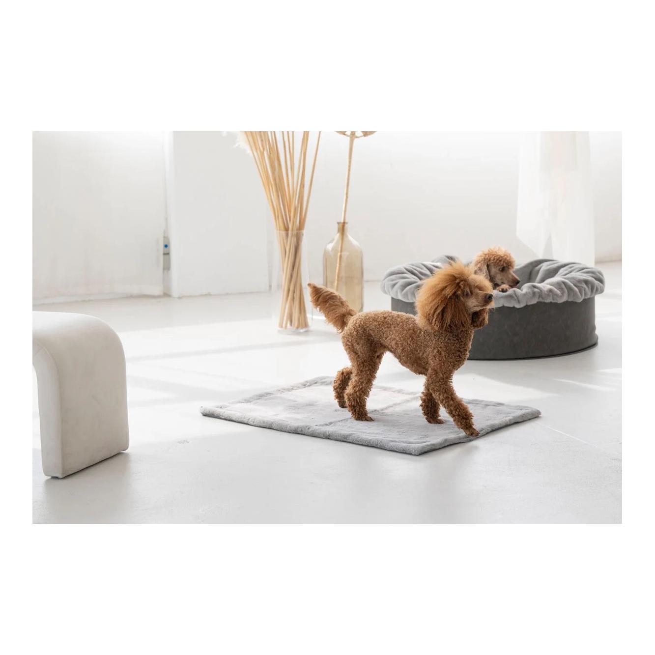 Dogspring by MAUL Couverture pour chien Kharlo - gris pierre