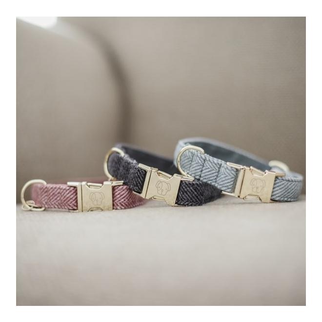 Kentucky Dogwear Collier pour chien Wool - gris