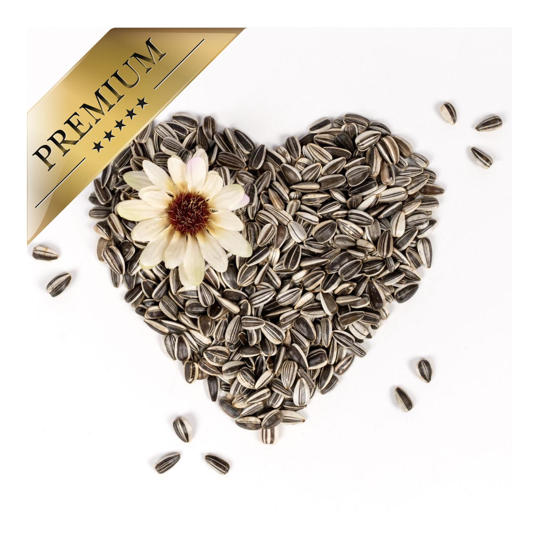 Lyra Pet Graines de tournesol rayées