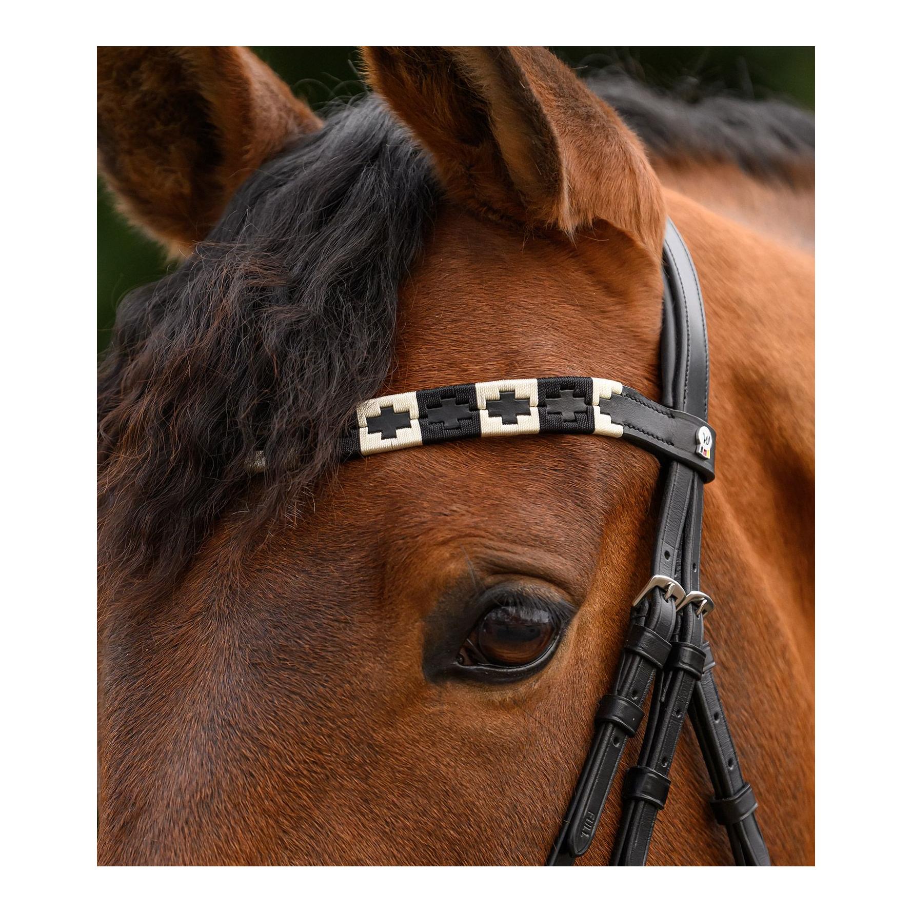 Waldhausen Stirnband Polo X-Line